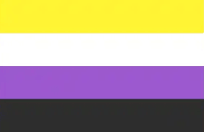Non-binary pride flag