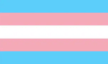 Transgender pride flag